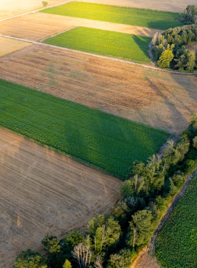 Shadows stretching across a sunrise landscape symbolizing embracing inner light and shadow