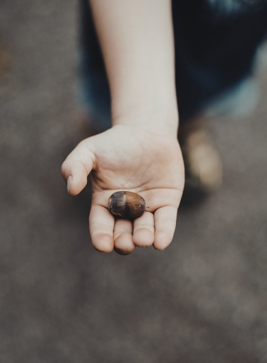 Child holding an object with fascination, capturing the wonder of noticing everyday miracles in the smallest things