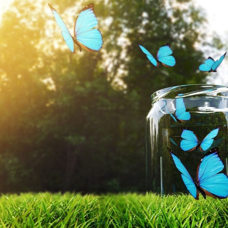 Meaningful Motivation