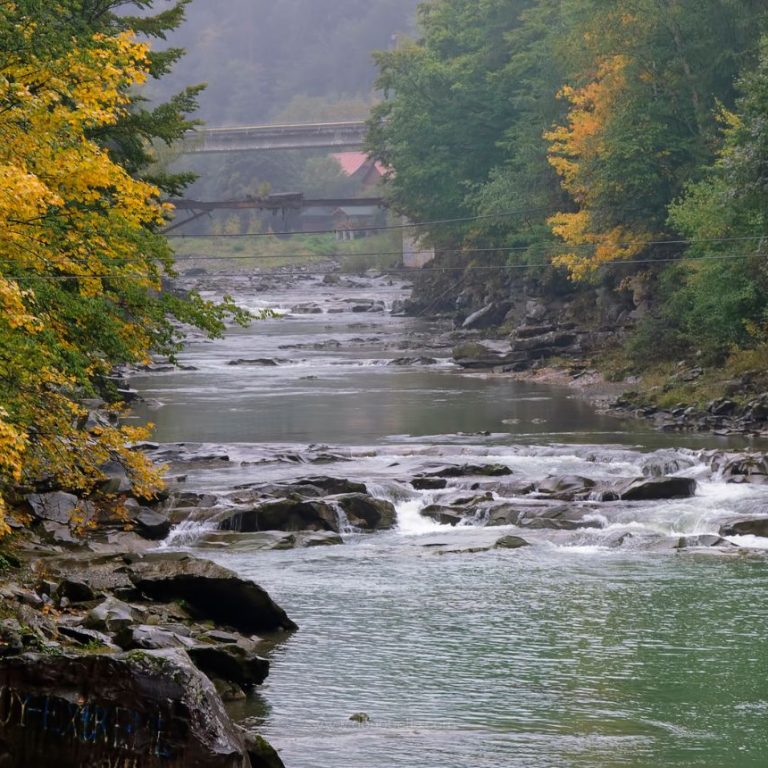 Resistance & Resilience (1480 x 860 px)