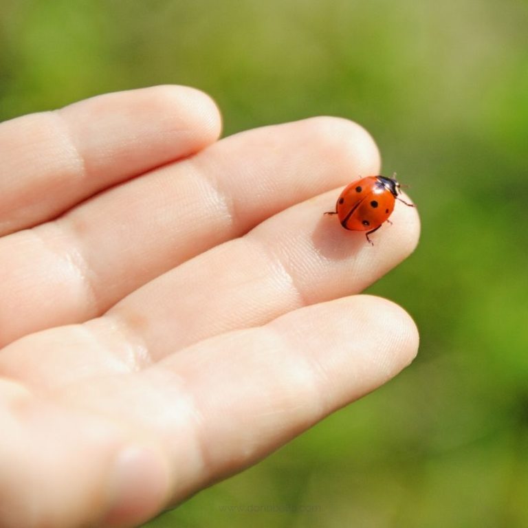 Savor the Small Stuff